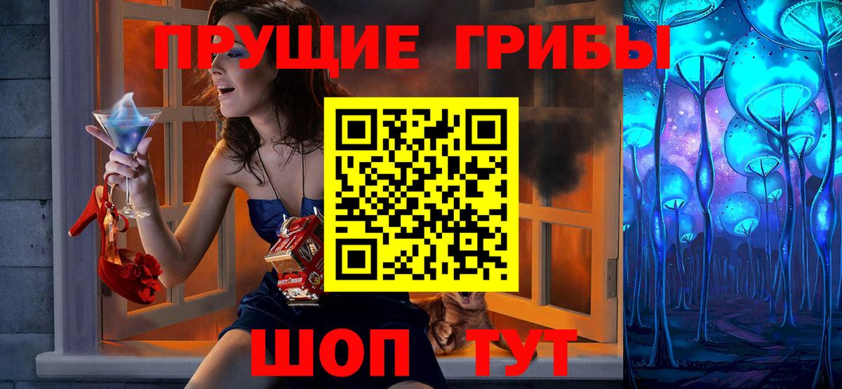 Галлюциногенные грибы Psilocybine cubensis Владикавказ