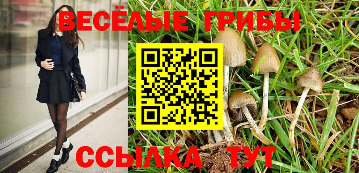 Владикавказ  Галлюциногенные грибы Psilocybe  Вход с VPN 